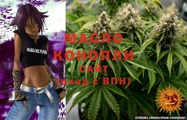 гашик Нефтекумск